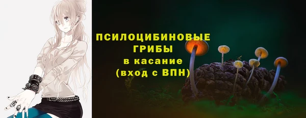 apvp Горняк