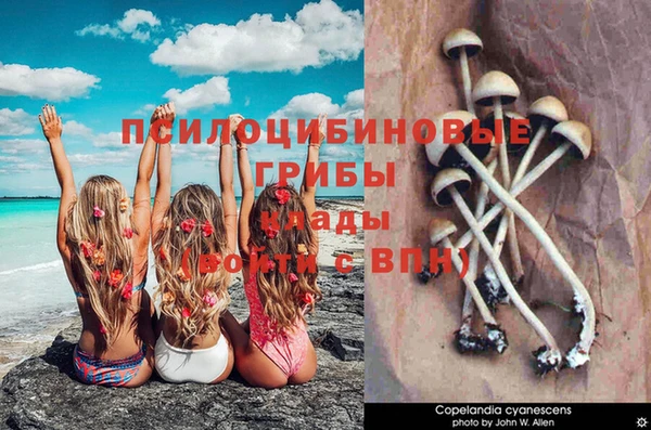 бошки Гусь-Хрустальный
