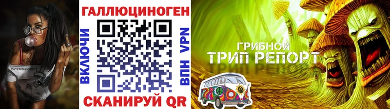 darknet какой сайт  Хвалынск  Псилоцибиновые грибы Magic Shrooms 